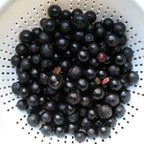 Jabuticaba Tree - 4" Pot - House Plant, Outdoors or Bonsai