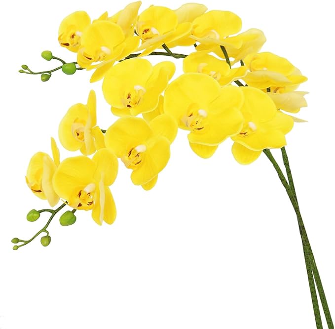 Htmeing 38 Inch Artificial Phalaenopsis Flowers Branches Real Touch (Not Silk) Orchids Flowers for Home Office Wedding Decoration,Pack of 2 (Yellow)