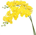 Htmeing 38 Inch Artificial Phalaenopsis Flowers Branches Real Touch (Not Silk) Orchids Flowers for Home Office Wedding Decoration,Pack of 2 (Yellow)
