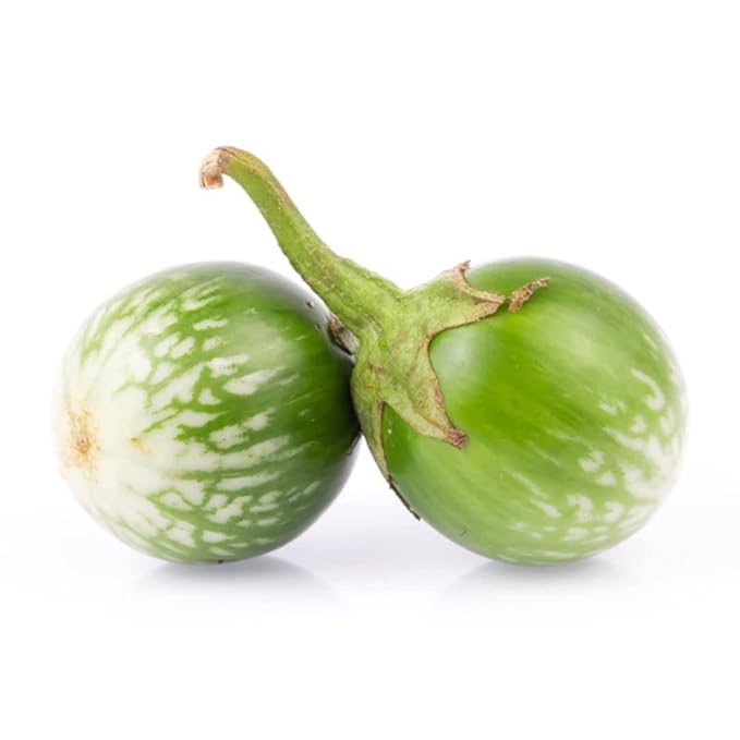 Golden Mountain Thai Light Green Round Medium Eggplant Seeds