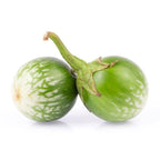 Golden Mountain Thai Light Green Round Medium Eggplant Seeds