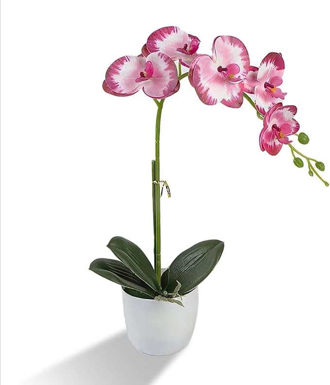 Artificial Orchid Flowers in Pot, 12" Real Touch Phalaenopsis Faux Orchid Plant with Fake Moss, Small Artificial Flowers Arrangement for Home Decor Indoor, Bathroom, Office Table C (Rose Red)
