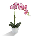 Artificial Orchid Flowers in Pot, 12" Real Touch Phalaenopsis Faux Orchid Plant with Fake Moss, Small Artificial Flowers Arrangement for Home Decor Indoor, Bathroom, Office Table C (Rose Red)