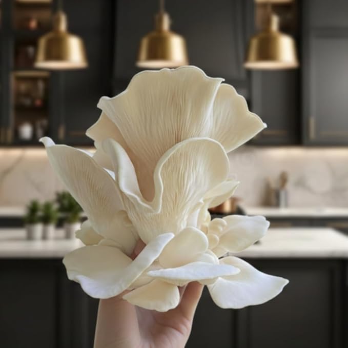 Forest Origins White & Brown Oyster Mushroom Grow Kit 2-Pack Variety - Beginner Friendly & Easy to Use, Grows in 10 Days | Handmade in California, USA | Top Gardening Gift, Holiday Gift & Unique Gift