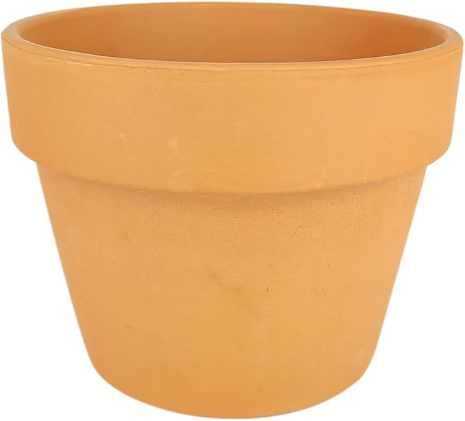 Golden Pothos (6"+ Grower Pot) - Trailing Air- Purifying, Easy to Grow Houseplant - Live Healthy Houseplant for Home Office Decoration