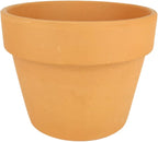 Golden Pothos (6"+ Grower Pot) - Trailing Air- Purifying, Easy to Grow Houseplant - Live Healthy Houseplant for Home Office Decoration