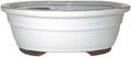 Brussel's 10" Oval Bonsai Glazed Ceramic Pot (Large, New Cream)