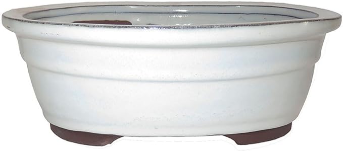 Brussel's 10" Oval Bonsai Glazed Ceramic Pot (Large, New Cream)