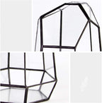 Geometric Glass Terrarium for Indoor Plants,Irregular Clear Planter,Black Opened Container Pot for Cacti,Succulents and Moss,Home Garden Office Tabletop Decor,6.5x5.7x9.8'' No Door