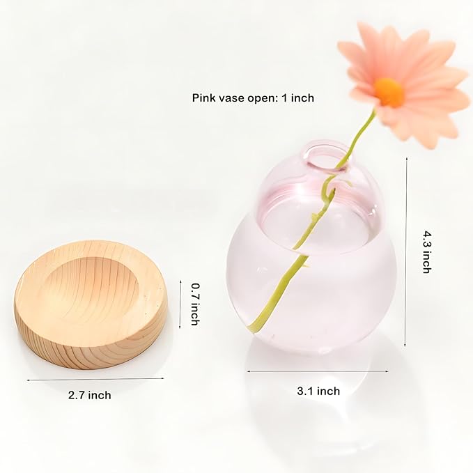 Plant Propagation Station Glass Planter Terrarium Jar with Wooden Stand Adjustable, Unique Flower Vase for Hydroponic Plants Cuttings, Plant Lover Gifts Home Boho Decor (Pink)