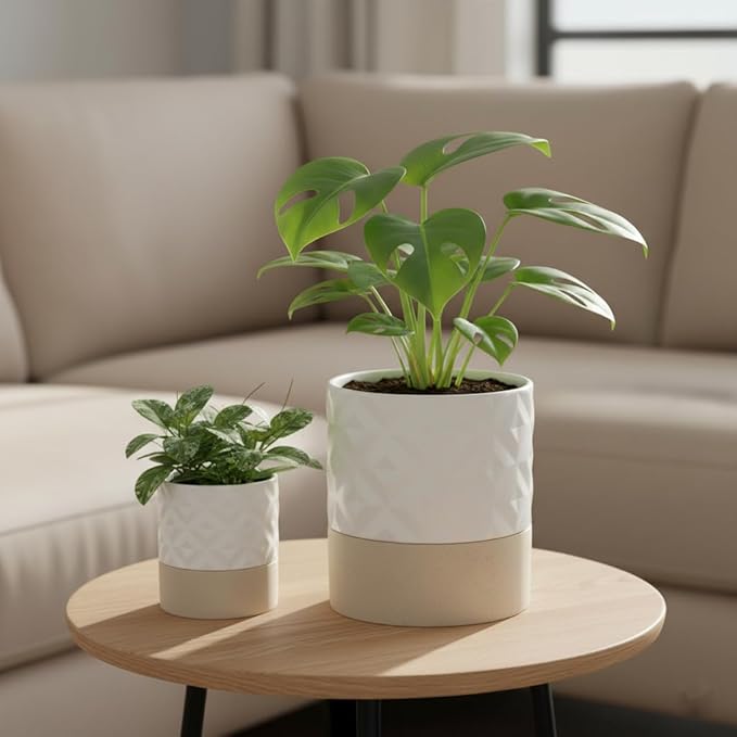 Nihow Self Watering Plant Pot for Indoor Plants: 4.5+6 Inch Ceramic Planter with Drainage Hole & Water Storage Plus - Cylinder Flower Pot with Wick for Herbs - Matte White & Brown Star