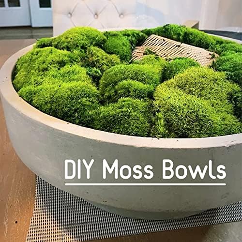 Preserved Pole Moss Pillow Bun Cushion Natural Green Decorative Real Natural Green DIY Kit Terrariums Gardenning Art Wall Decor Florist Decor Easter Table Decor Wedding(6.0 sq.ft., Green-B)