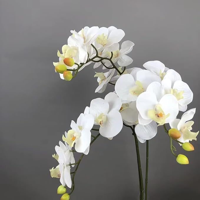 2 Pcs Orchid Stems 38" Artificial Flowers Real Touch Latex Faux Phalaenopsis Branches White Artificial Flowers for Wedding Party Home Garden Decor (White)