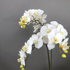 2 Pcs Orchid Stems 38" Artificial Flowers Real Touch Latex Faux Phalaenopsis Branches White Artificial Flowers for Wedding Party Home Garden Decor (White)