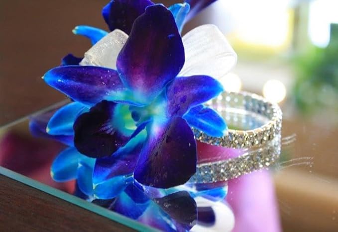 Miami Fresh Orchid Flower OrchidClub USA Sunne Tropical Loose Bloom Head DIY Lei food drink decoration (RAINBOW 50)