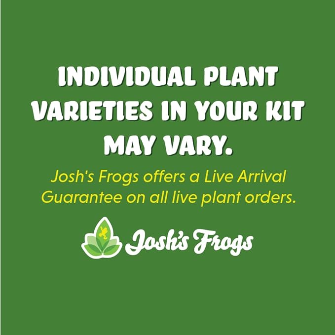 Josh's Frogs 12x12x20 Crested Gecko Vivarium Plant Kit