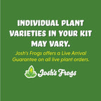 Josh's Frogs White's Tree Frog Vivarium Bioactive Plant Kit (18x18x18 Terrarium)