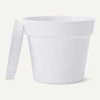 Amazon Basics Plant Pot with Saucer, 8 inch, White, 1-Pack