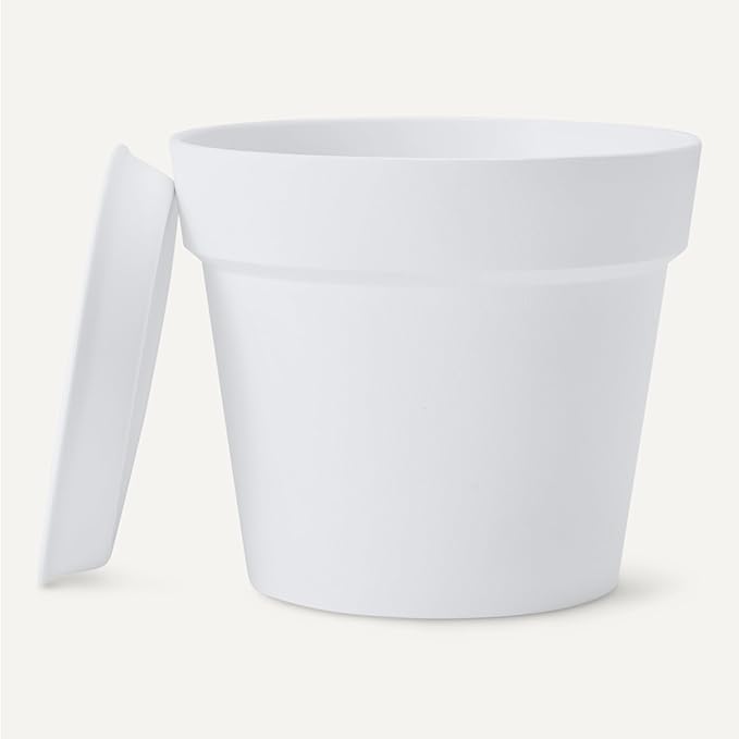 Amazon Basics Plant Pot with Saucer, 8 inch, White, 1-Pack