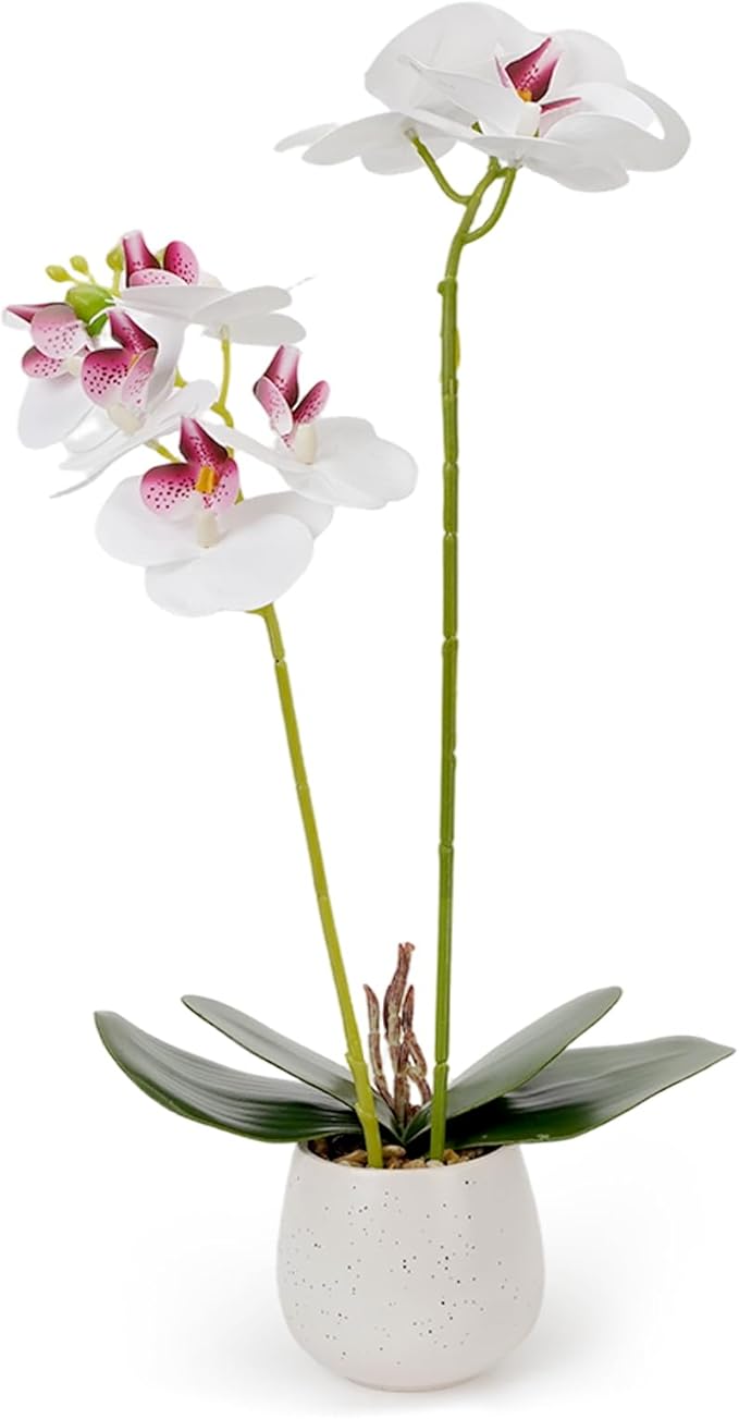 Fake Orchid in Vase Artificial Orchids That Look Real with Pot Artificial Flowers for Home Decor (White)