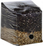 Mini All in One Mushroom Grow Bag