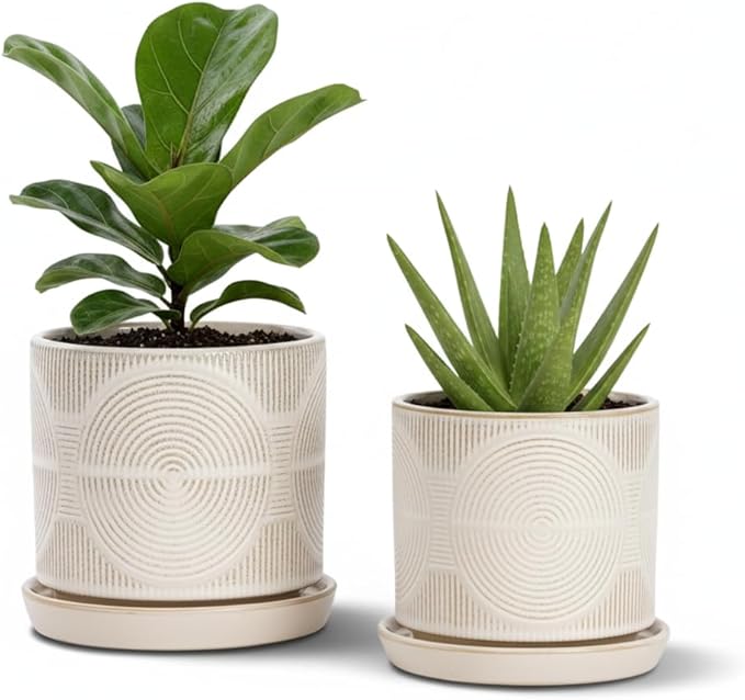Ceramic Plant Pots, Pots for Plants(4.5+5.5inch), Flower Pots for Indoor planters with Drainage and Tray, Indoor Plant Pots for Succulents Cactus Herbs - Small Planters for Home Office Decor