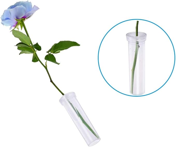 Tirifer 21 Pack 60ml Large Floral Tubes with Rack Holder for Milkweed Cuttings, Raising Caterpillars, Monarchs, Butterflies, Flower Arrangements