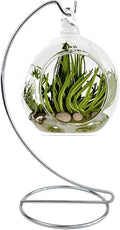 9 Inch Silver Ornament Display Stand, Metal Ornament Hanger Stand for Hanging Glass Globe, Air Plant Terrarium, Witch Ball, Christmas Ornament and Home Wedding Decoration (1, 9x4 Silver)