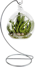 9 Inch Silver Ornament Display Stand, Metal Ornament Hanger Stand for Hanging Glass Globe, Air Plant Terrarium, Witch Ball, Christmas Ornament and Home Wedding Decoration (1, 9x4 Silver)
