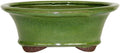 Brussel's 8" Oval Bonsai Glazed Ceramic Pot (Medium, Serpent Green)