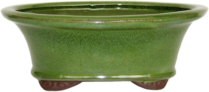 Brussel's 8" Oval Bonsai Glazed Ceramic Pot (Medium, Serpent Green)