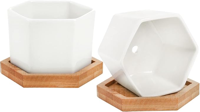 Foraineam 10 Pack Mini Succulent Plant Pots, 2.76 inch Hexagonal White Ceramic Succulent Cactus Planters with Bamboo Tray