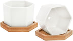 Foraineam 10 Pack Mini Succulent Plant Pots, 2.76 inch Hexagonal White Ceramic Succulent Cactus Planters with Bamboo Tray