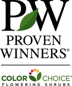 CHICKLET® Orange Trumpet Bush - Tecoma fulva - Proven Winners - 4" Pot
