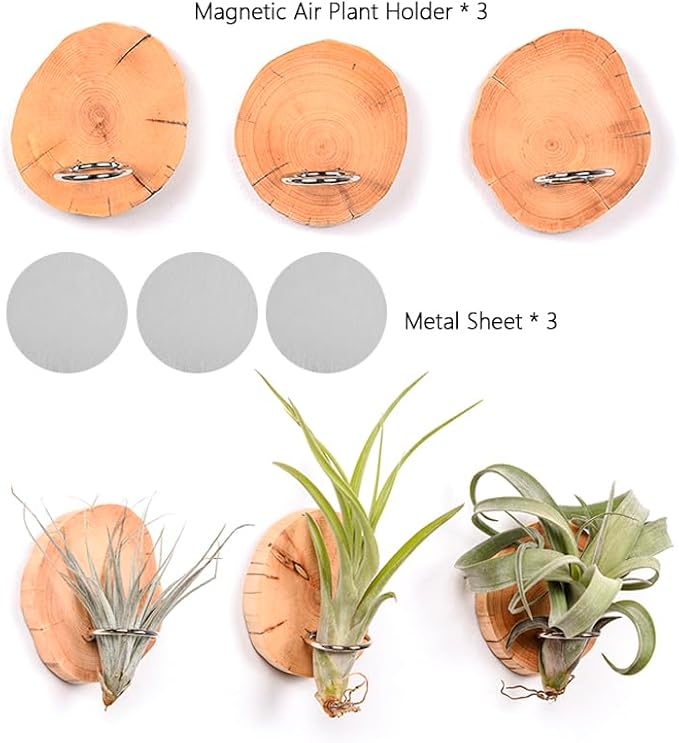 MITIME Magnetic air Plant Holder Refrigerator Sticker, Natural Wood Irregular Shape air Plant Wall Mount Holder. Refrigerator, Wall Decoration.Living Rooms, and Kitchens (Cypress Wood, 3)