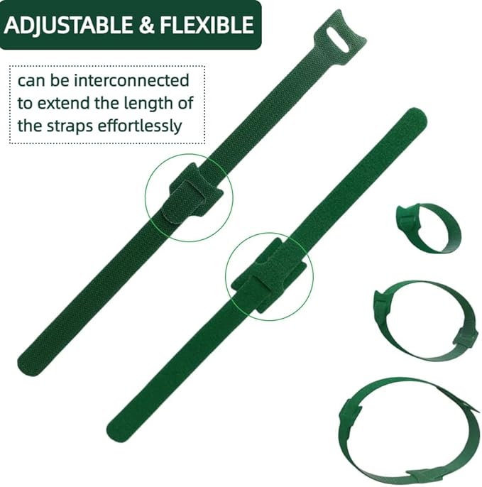 Green, Reusable, 100PCS, 8inch Adjustable Anti - Slip Nylon Plant Ties & Straps Featuring Hook and Loop Fasteners - Optimal for Climbing Plants Support Christmas Garland Ties (8 in x 0.5 in)