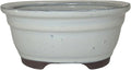 Brussel's 6" Oval Bonsai Glazed Ceramic Pot (Small, New Cream)