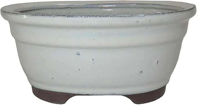 Brussel's 6" Oval Bonsai Glazed Ceramic Pot (Small, New Cream)