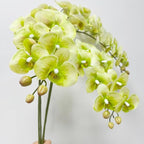 2 Pcs Orchid Stems 38" Artificial Flowers Real Touch Latex Faux Phalaenopsis Branches White Artificial Flowers for Wedding Party Home Garden Decor (Green, 38")