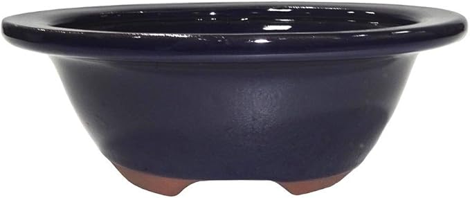Brussel's 8" Oval Bonsai Glazed Ceramic Pot (Medium, Dark Navy)