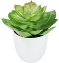 Lifelike Artificial Succulent Plants in White Large Basin - 5.5 Inch Diameter Large Flowers, Green & White, Ideal for Home and Office Table Decoration