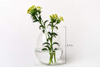 Kingbuy Wall Hanging Propagation Station Glass Plant Terrarium Container Egg Shape for Propagating Hydroponic Plants Home Office Garden Decor Wedding, 2 Pack