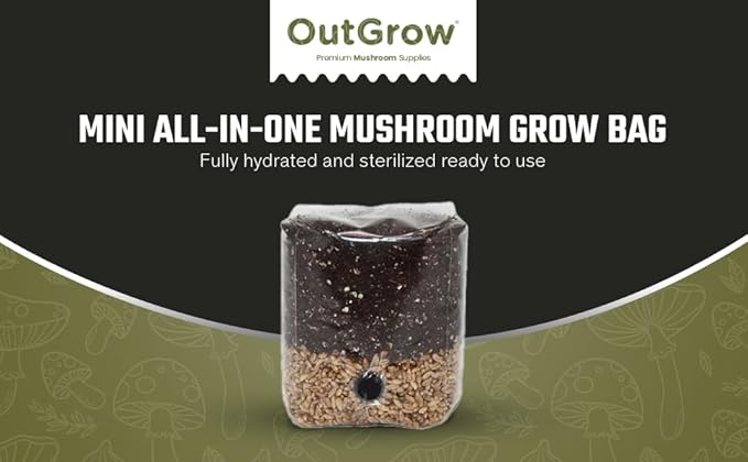 Mini All in One Mushroom Grow Bag