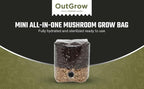 Mini All in One Mushroom Grow Bag