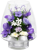 Fiora Flower | Long Lasting Orchids| Lasts up to 5 Years | No Water Need | Allergy Free | Odor Resistant | Unique Present Gift