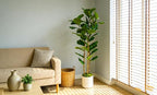 Artificial Fiddle Leaf Fig Tree 5FT with White Tall Planter-Large Faux Tree Tall Fake Floor Plant in Pot,Artificial Plants Indoor for Home Office Living Room Décor(Lyrata 5FT)