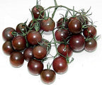 30+ Black Cherry Tomato Seeds, Heirloom Non-GMO, Low Acid, Indeterminate, Open-Pollinated, Sweet, Productive, from USA