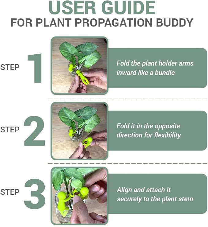 Plant Propagation Buddy – Plant Cutting Holders for Sprouts, Stems & Shoots, Cute & Sturdy Plant Supports for Indoor Gardens & Propagation Stations, for Plant Lovers (4 Colors, 12pcs)