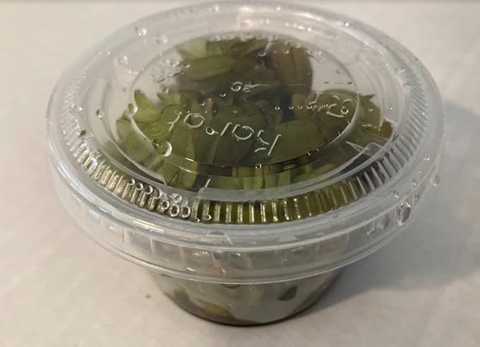 Water Spangles (Salvinia Minima) - 4 oz Cup Live Aquatic Plant for Aquariums and Ponds