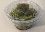Water Spangles (Salvinia Minima) - 4 oz Cup Live Aquatic Plant for Aquariums and Ponds